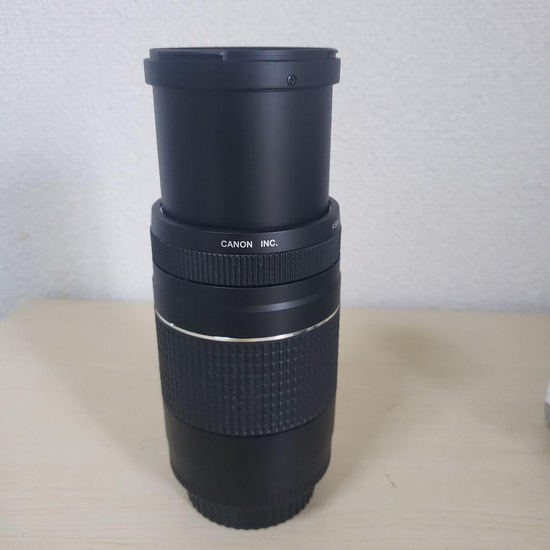 Canon EF 75-300mm F/4-5.6 III 望遠レンズ