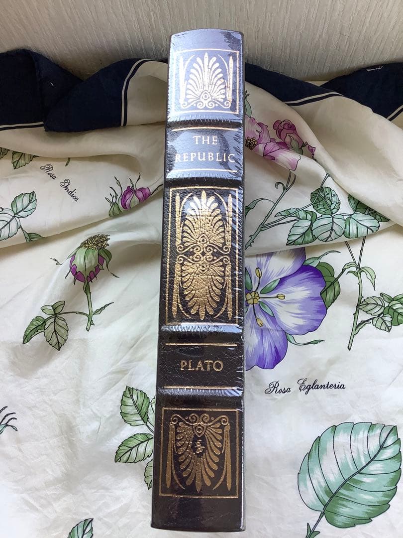 国家 プラトン THE REPUBLIC - PLATO The Republic (Fingerprint Classics): Plato: 9788175993068: Amazon