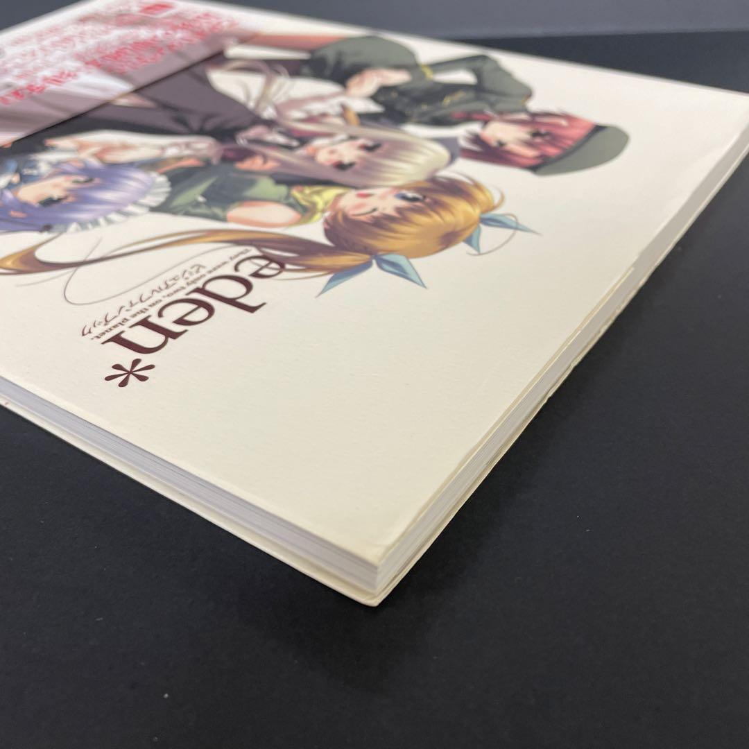 Eden ビジュアルファンブック - メルカリ