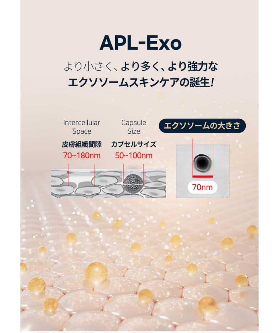 正規品」ルビーセル ダーマコードセラム10本セット エクソソーム 美容