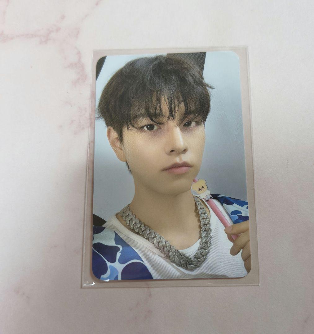 Stray kids スキズ メンプロ パピーム 購入特典トレカ スンミン - メルカリ