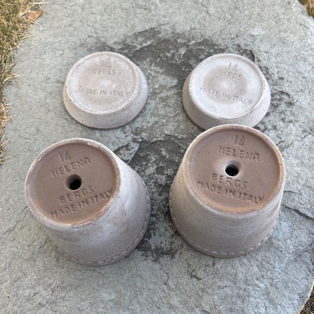 バーグスポッター ヘレナ14 ⌘2個セット⌘ - メルカリ