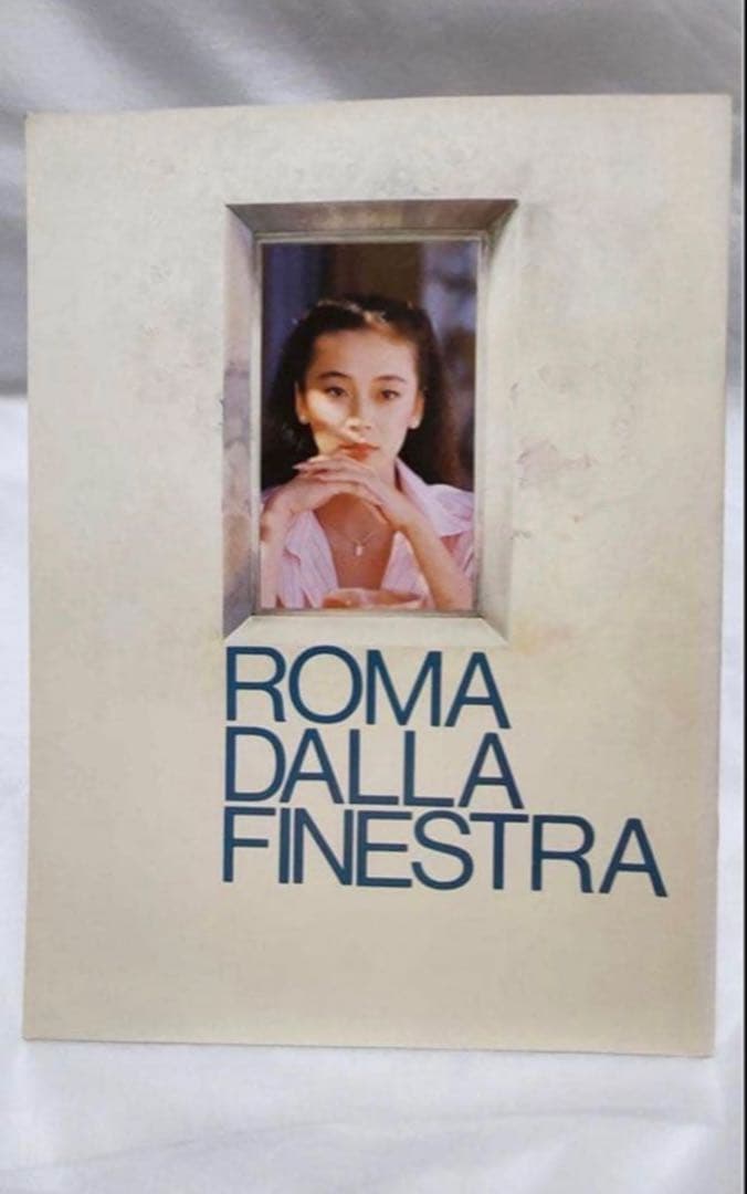 美品 レア品 窓からローマが見える セル版 DVD パンフレット付