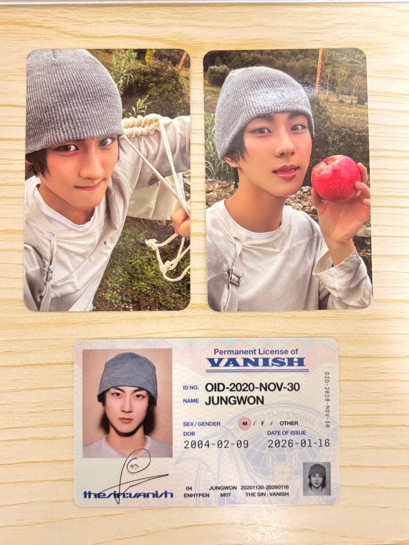 enhypen THE SIN :VANISH ジョンウォン トレカ - メルカリ