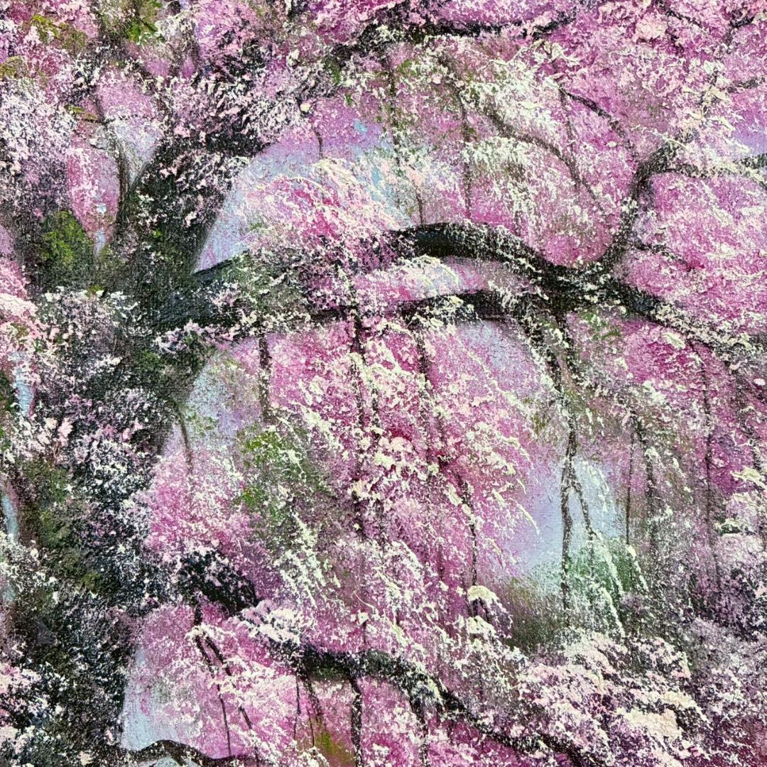 美品 寺井孝「角館の桜」キャンバスに油彩 10号 彩波会 二科展