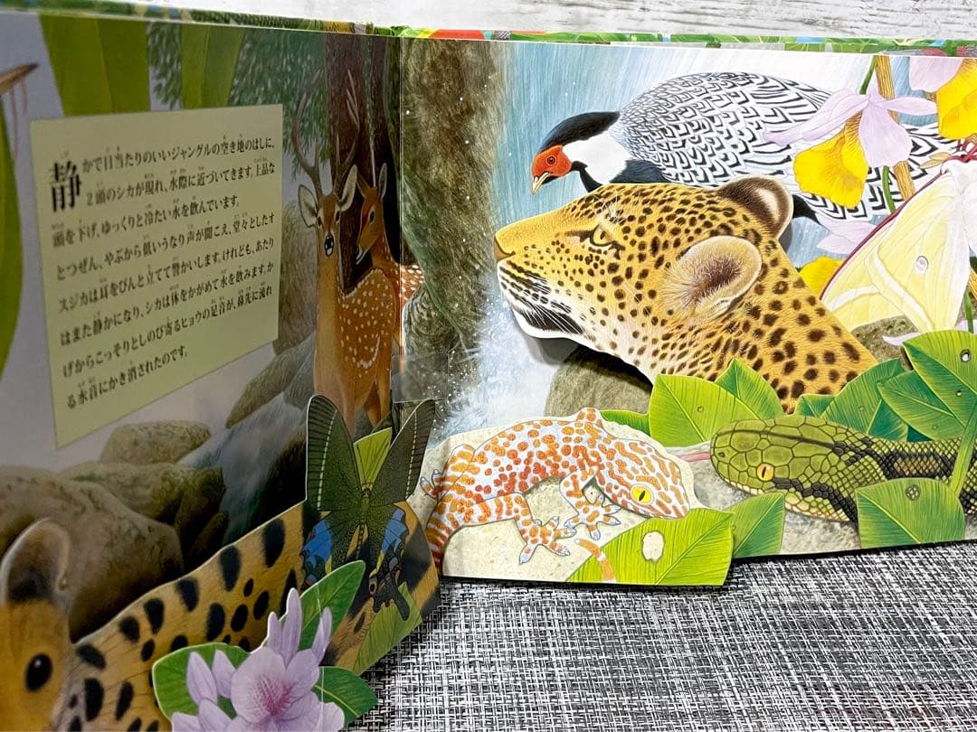 ジャングル : 動物の鳴き声 : 音がでるとびだししかけえほん - メルカリ