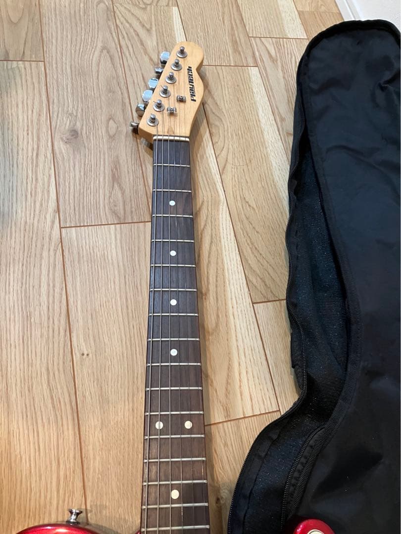 PLAYTECH（プレイテック）エレキギタ カバーセット売り