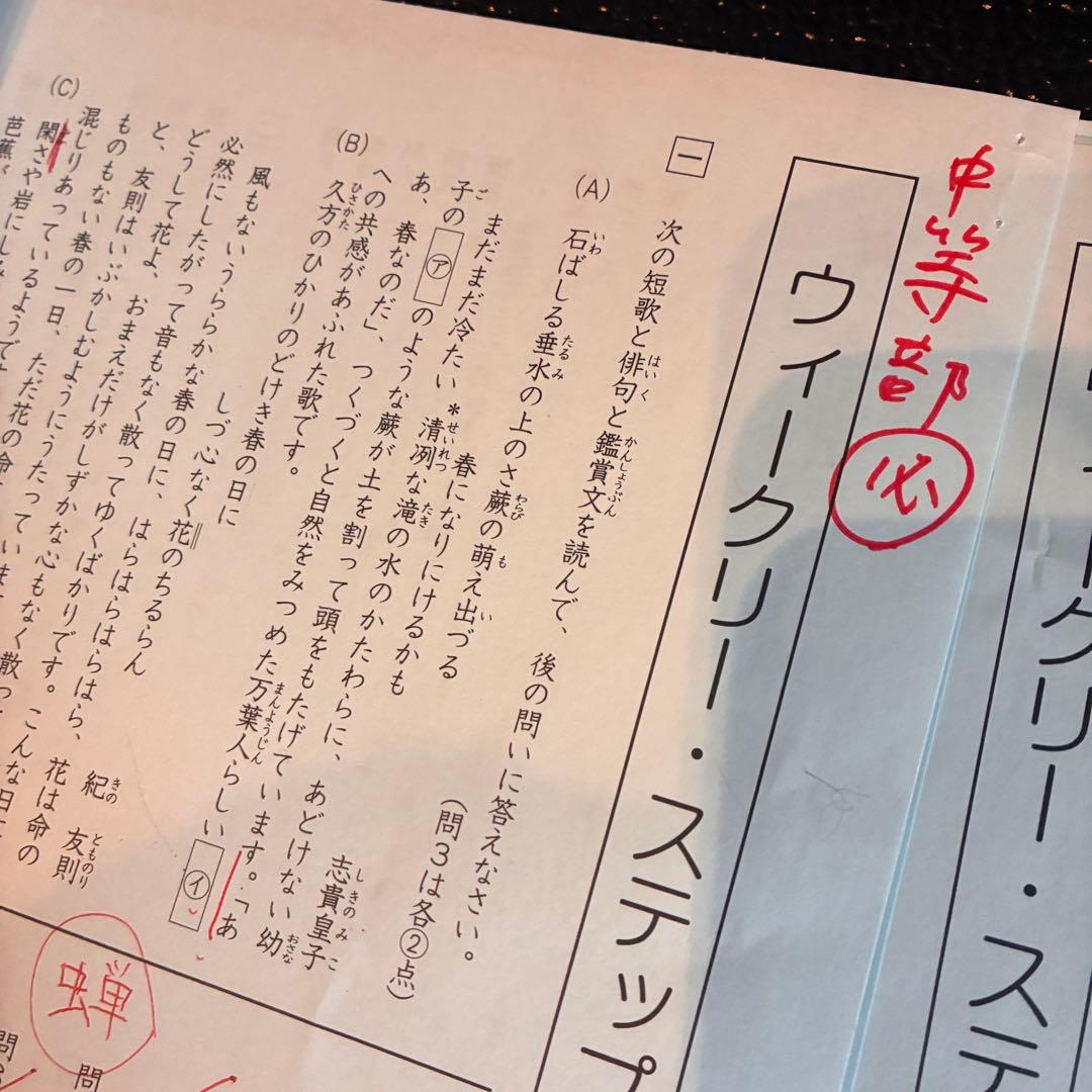 SAPIX 6年 土曜特訓 国語 知識の総完成 フルセット - メルカリ