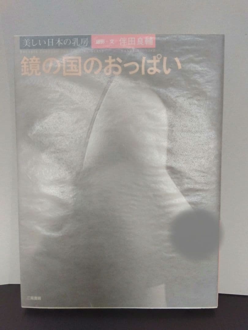 鏡の国 美しい日本の乳房 アート 芸術 写真 旅先での出会いや経験が自らの感性を養う【アートは社会を写す鏡 vol.7