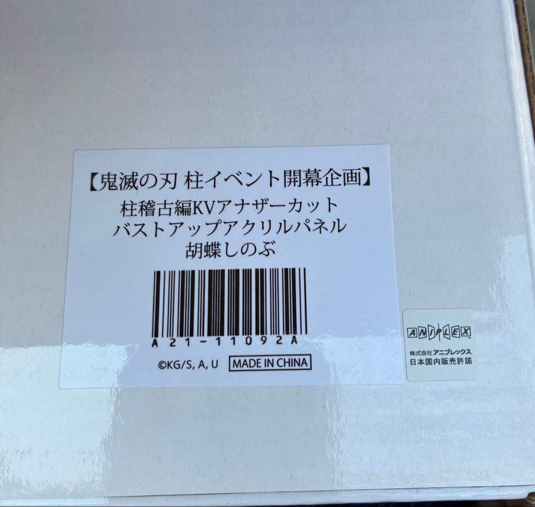 鬼滅の刃 柱稽古編 KV アナザーカット バストアップアクリルパネル