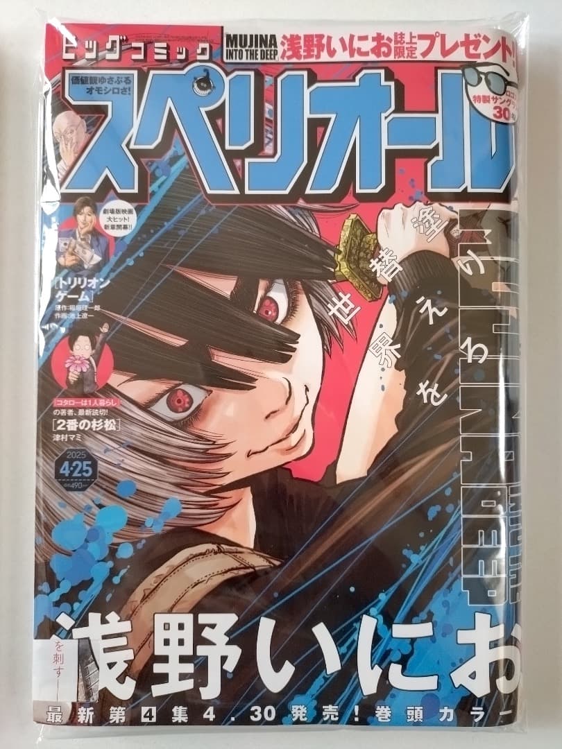 【希少】【美品】【MUJINA INTO THE DEEP】スペリオール 2冊