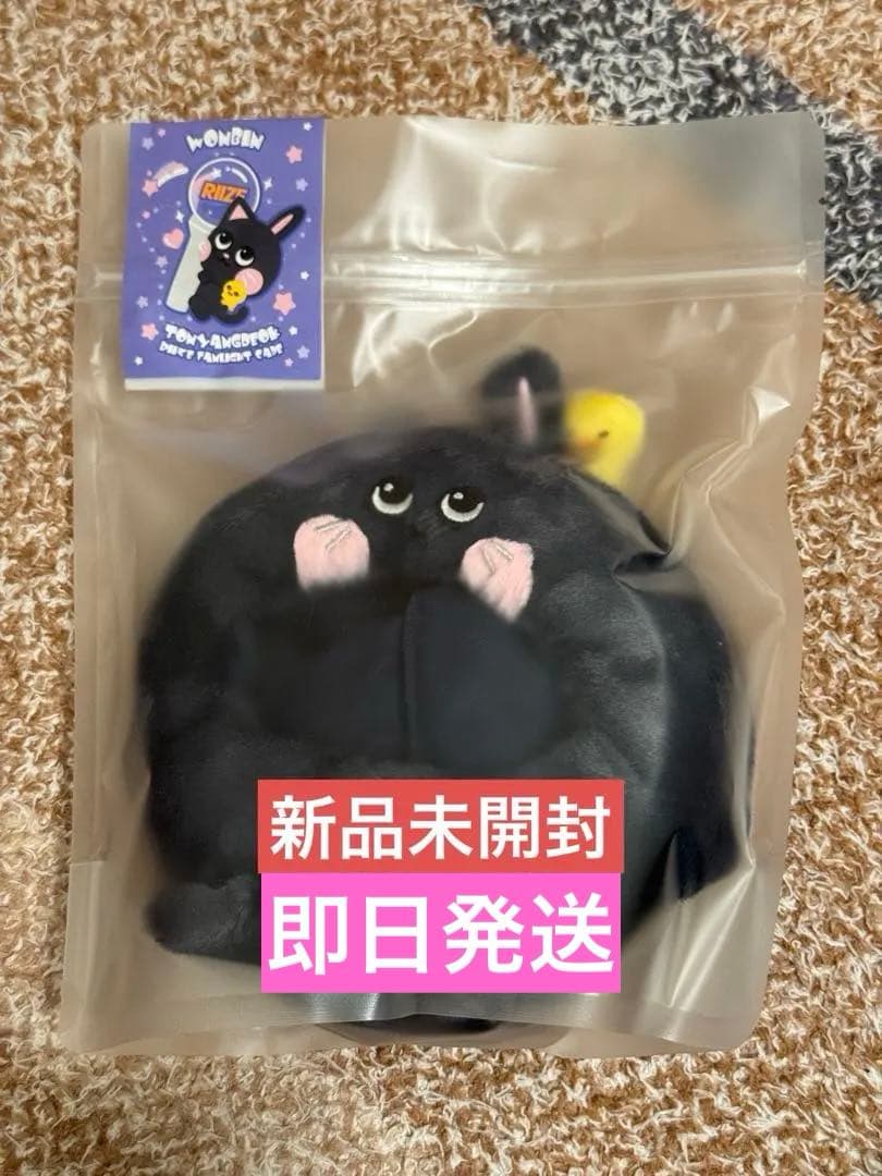 未開封】RIIZE ウォンビン トニャンドク ペンライトカバー - メルカリ