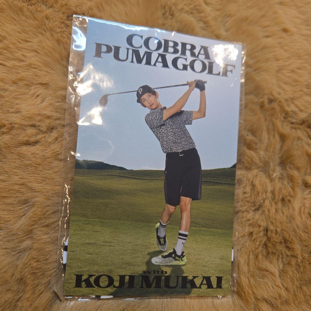 Snow Man向井康二COBRA PUMA GOLF ゴルフマーカー2個セット - メルカリ