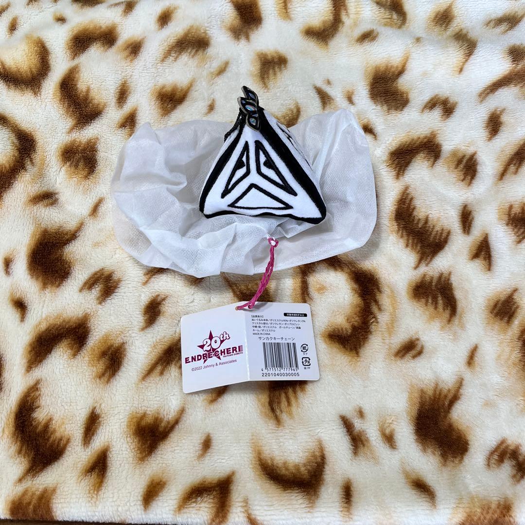 ENDRECHERI.堂本剛 グッズセット - メルカリ