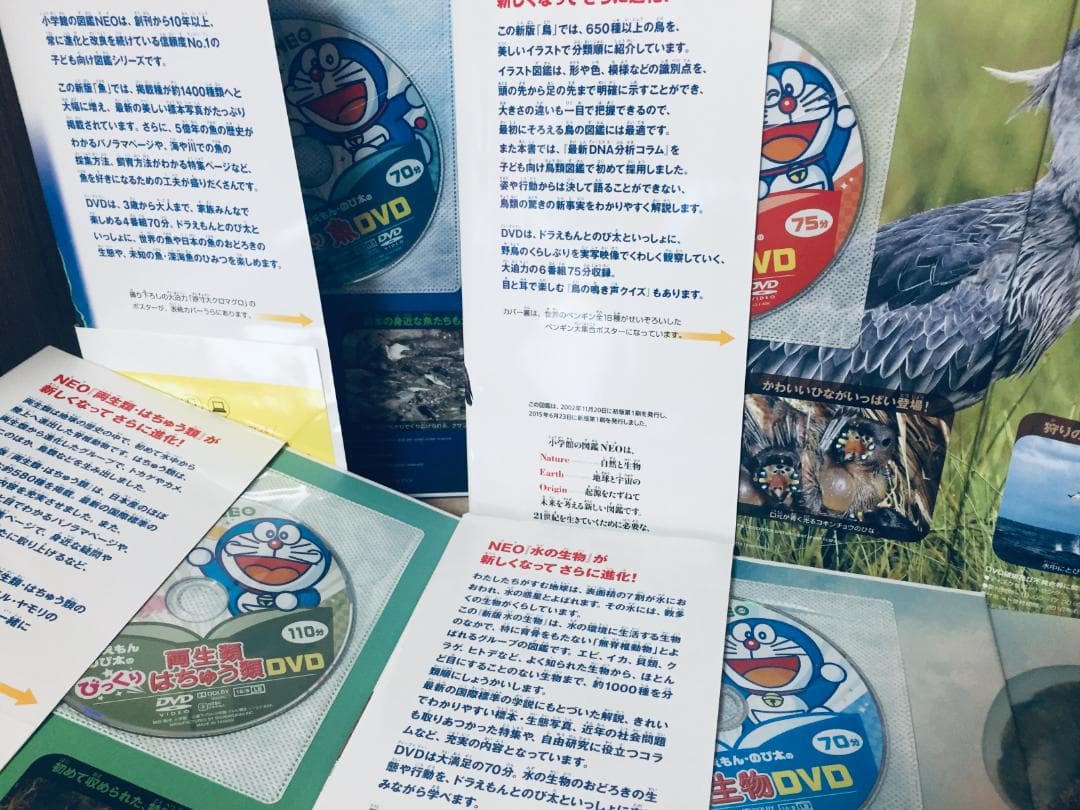 小学館の図鑑NEO 新版 DVD付き 14冊セット
