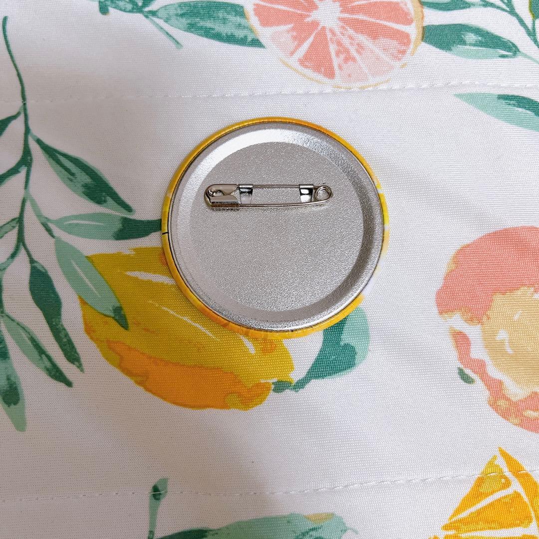 ソフトバンクホークス 若鷹ガチャ 缶バッジ 柳町 武田 海野 谷川原