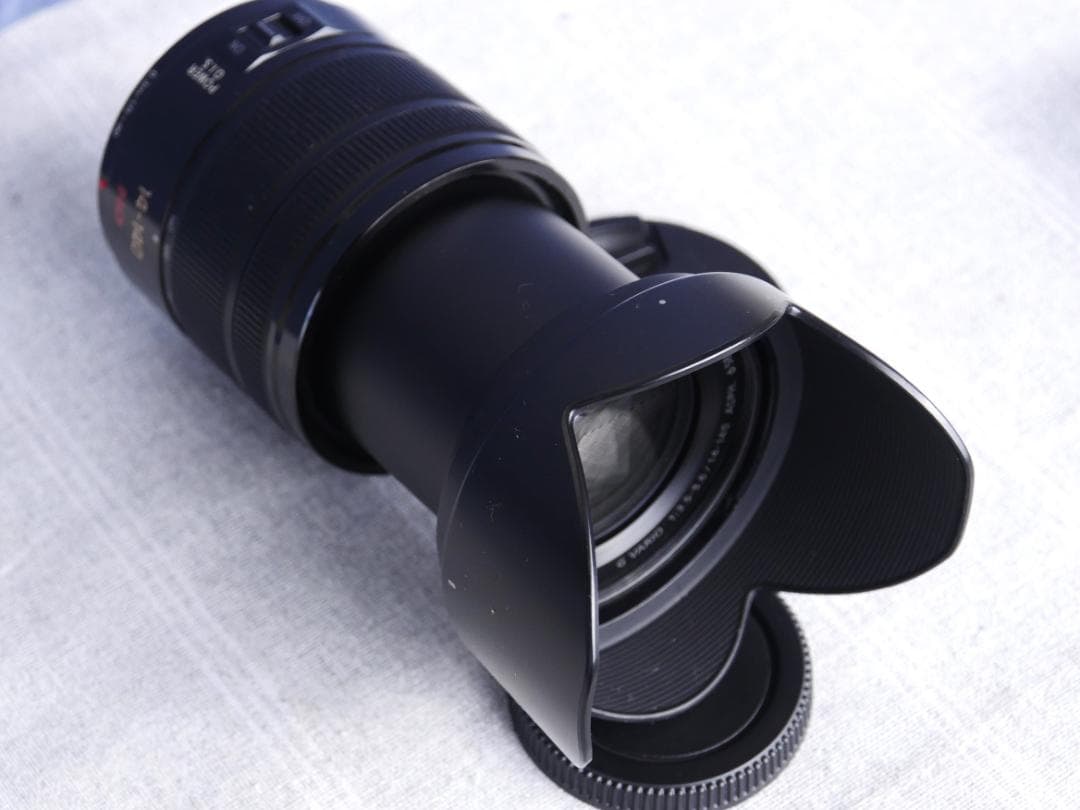 LUMIX G VARIO 14-140mm F3.5-5.6 Ⅱ ASPH.