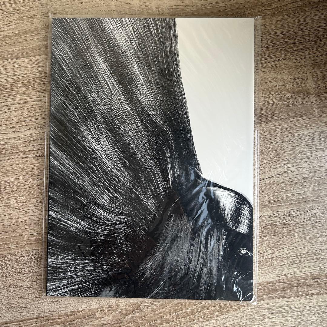 the GazettE セット売り《ドラムスティックあり》