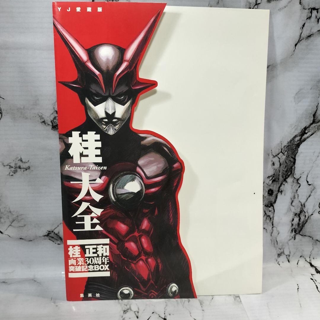 桂大全 桂正和画業30周年記念本 画集 - メルカリ