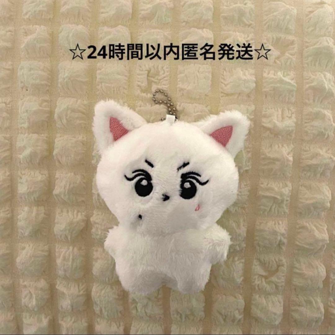 ENHYPEN エナイプン ジョンウォン ぬいぐるみ 10cm ドール - メルカリ