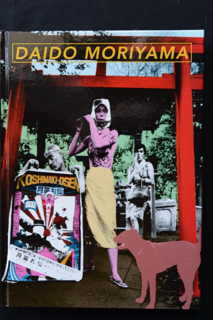 DAIDO MORIYAMA：Retrospective Since 1965 Daido Moriyama: Retrospective Since 1965 : LERNER, JESSE: Amazon