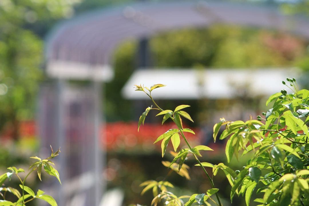 ✨安心保証✨CANON ZOOM EF 75-300mm f/4-5.6 USM