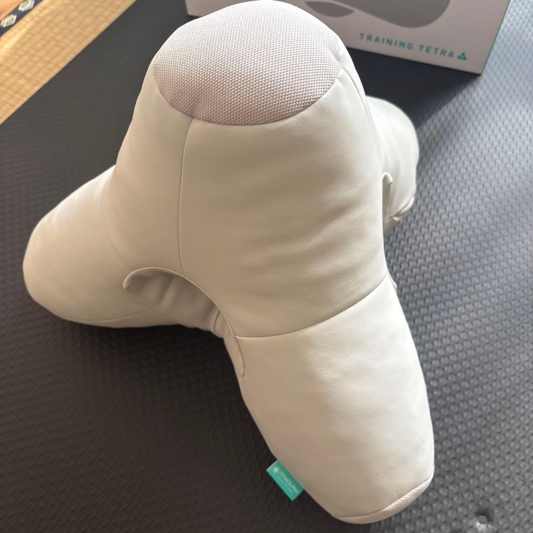 Training Tetra 体位変換クッション ホワイト 狩野英孝さんも注目の“セックスが上手くなるクッション”!? SNSで話題の