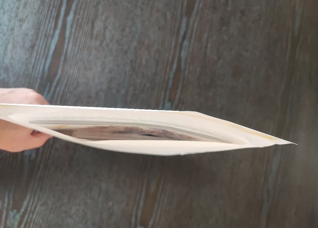 新品/未開封/未使用品 グラブルフェス2024 2025ex パンフレット - メルカリ