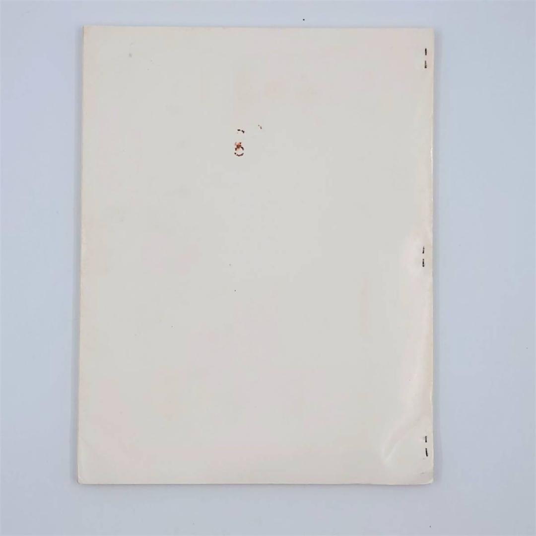 洋書 レナード・ニモイ 同人誌？ ファンブック？ スタートレック