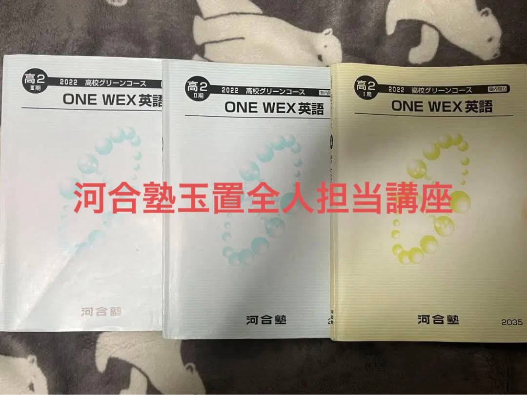 河合塾 玉置全人 高2 ONEWEX英語 テキスト＋板書ノート＋プリント