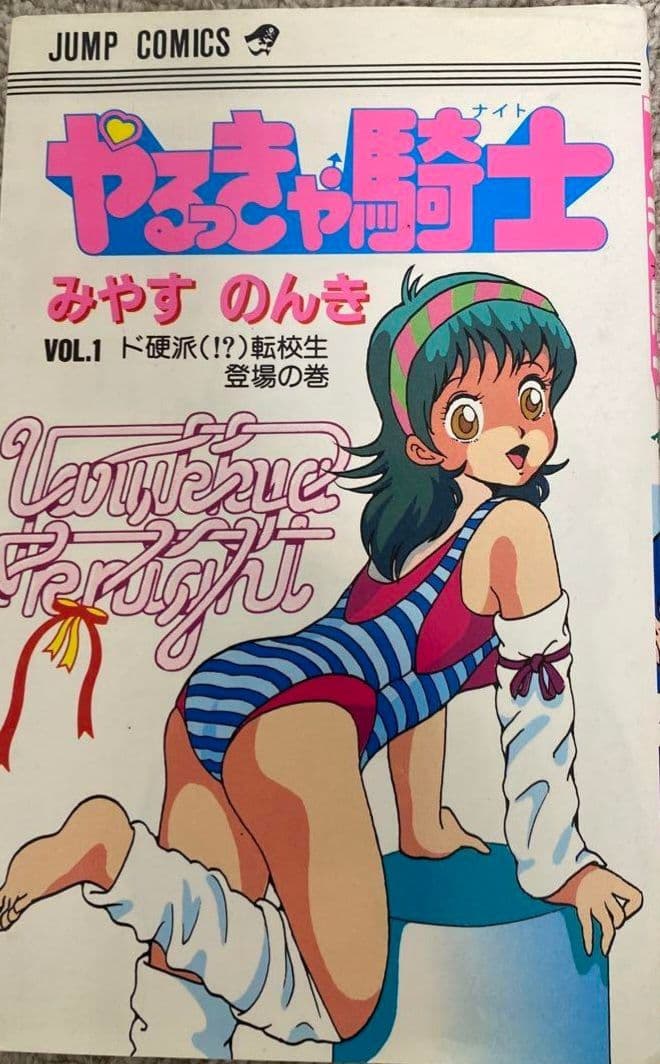 やるっきゃ騎士 全巻セット 1-11巻