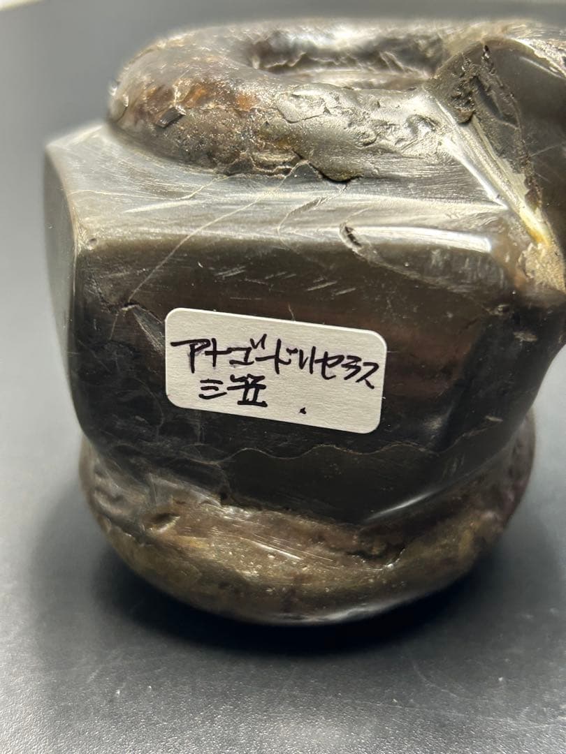 アンモナイト化石 北海道 三笠 アナゴードリセラス