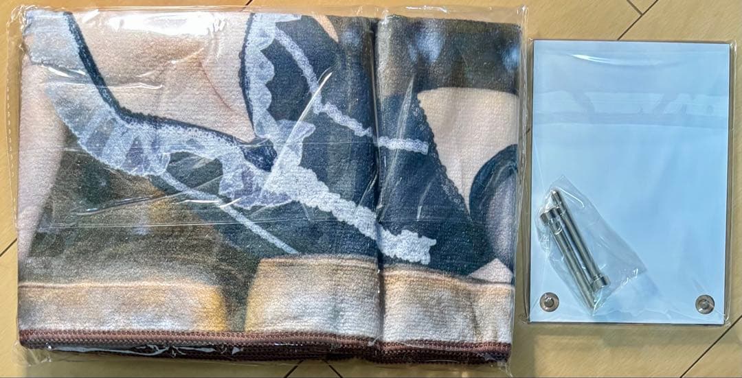 【極美品・希少品】篠崎こころ コミックマーケット C106セット