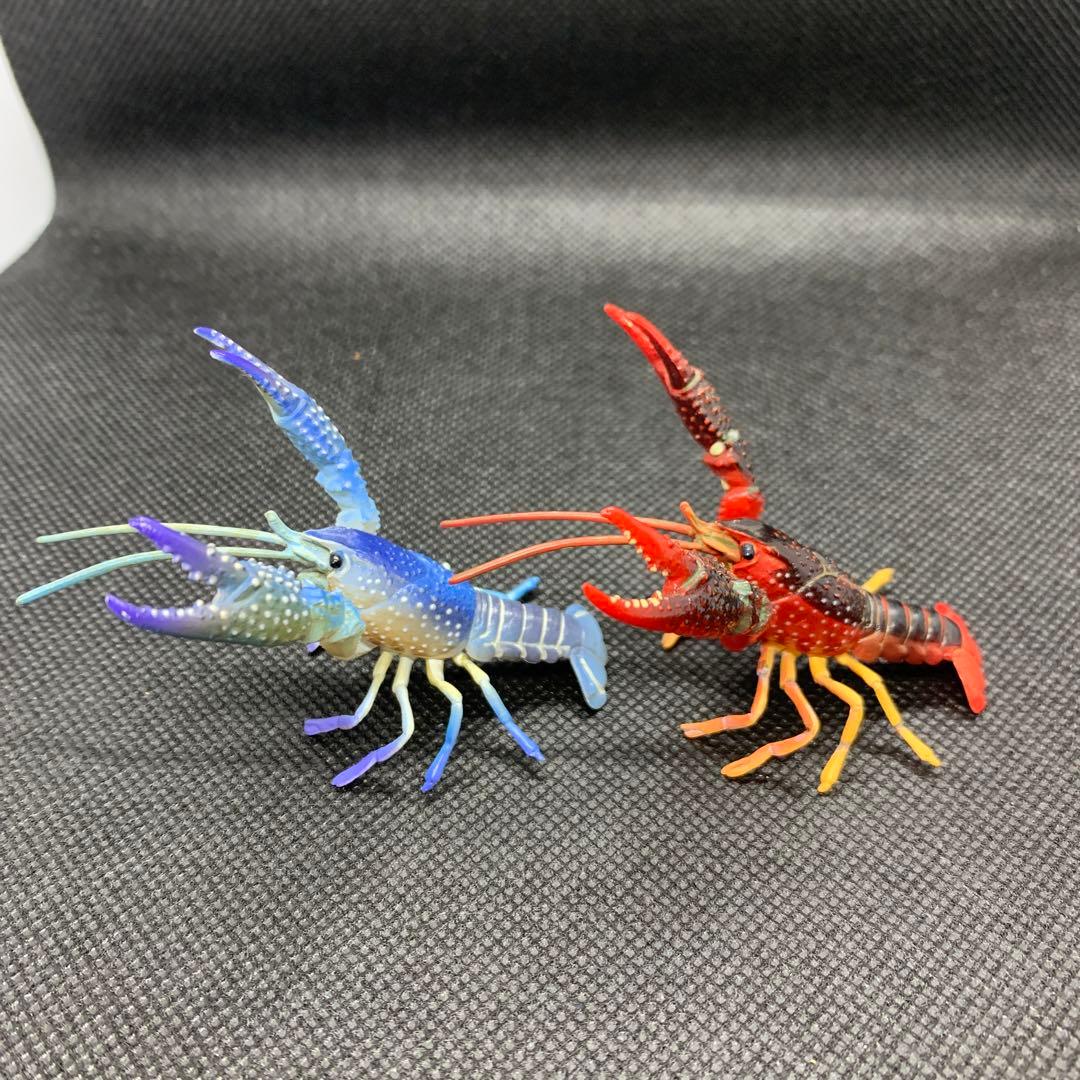 チョコエッグ チョコQ【アメリカザリガニ】2種セット 開封品 - メルカリ