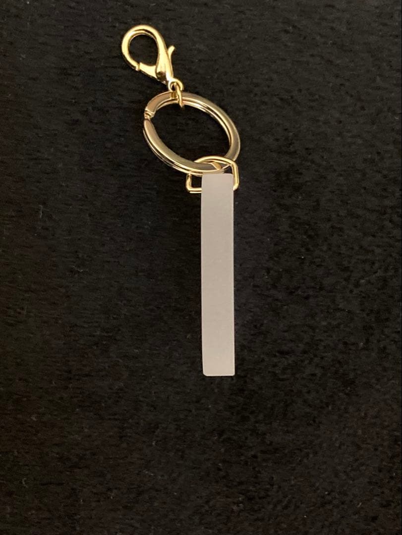 ANA ボーイング737-500 退役記念キーホルダー - メルカリ