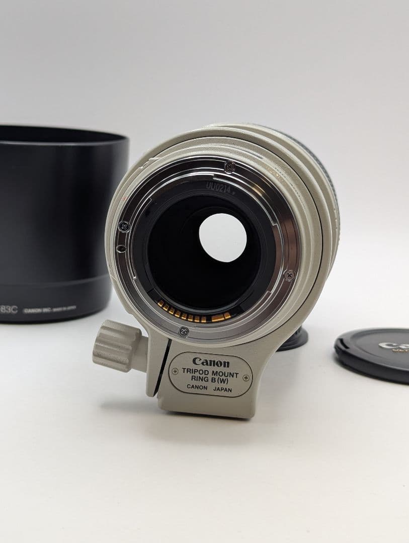 レンズ(ズーム) Canon EF 100-400mm F4.5-5.6 IS USM