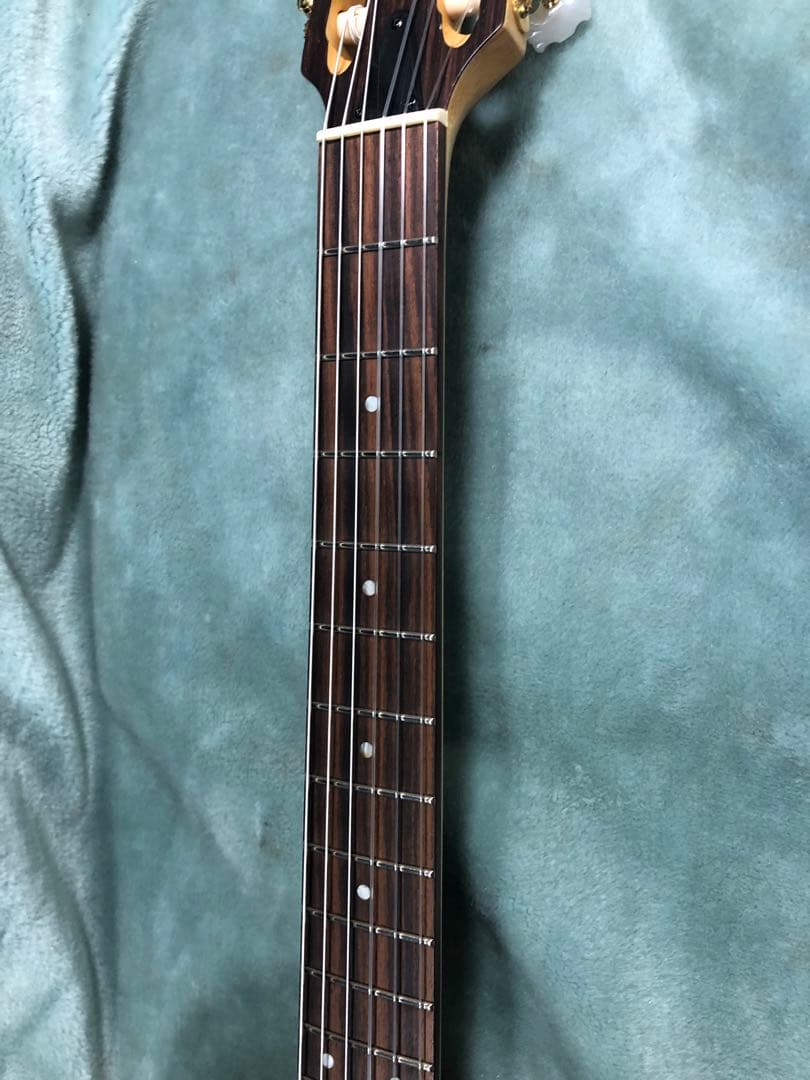 M*9様 ヤマハ AEX500N エレガット - メルカリ