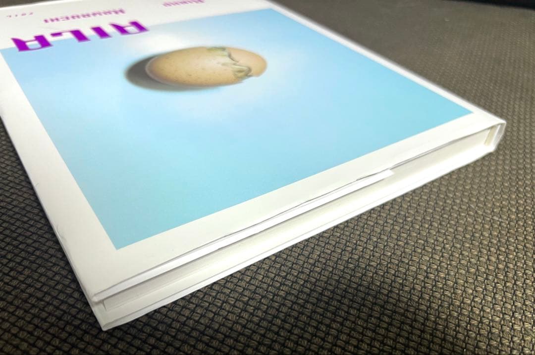 川内倫子 AILA アイーラ 写真集 美品 第二刷 - メルカリ