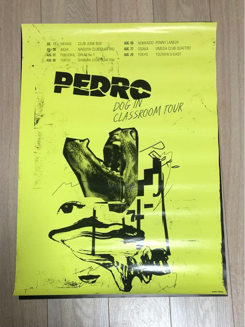 バラ売り可】PEDRO CD 初回生産限定盤等7点セット＋ポスター4枚 - メルカリ