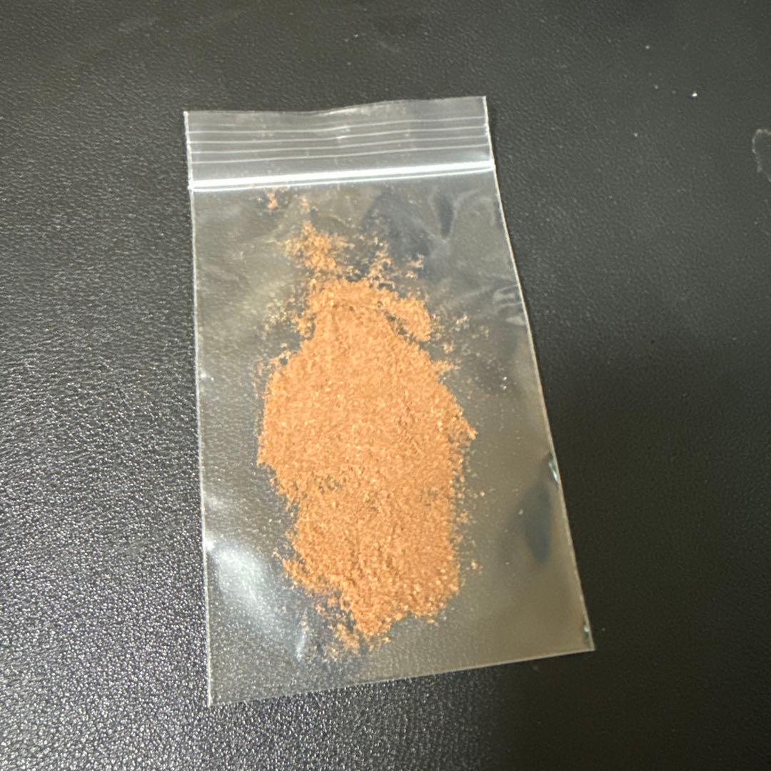 ビカクシダ ウィリンキー roll East Java 胞子 - メルカリ