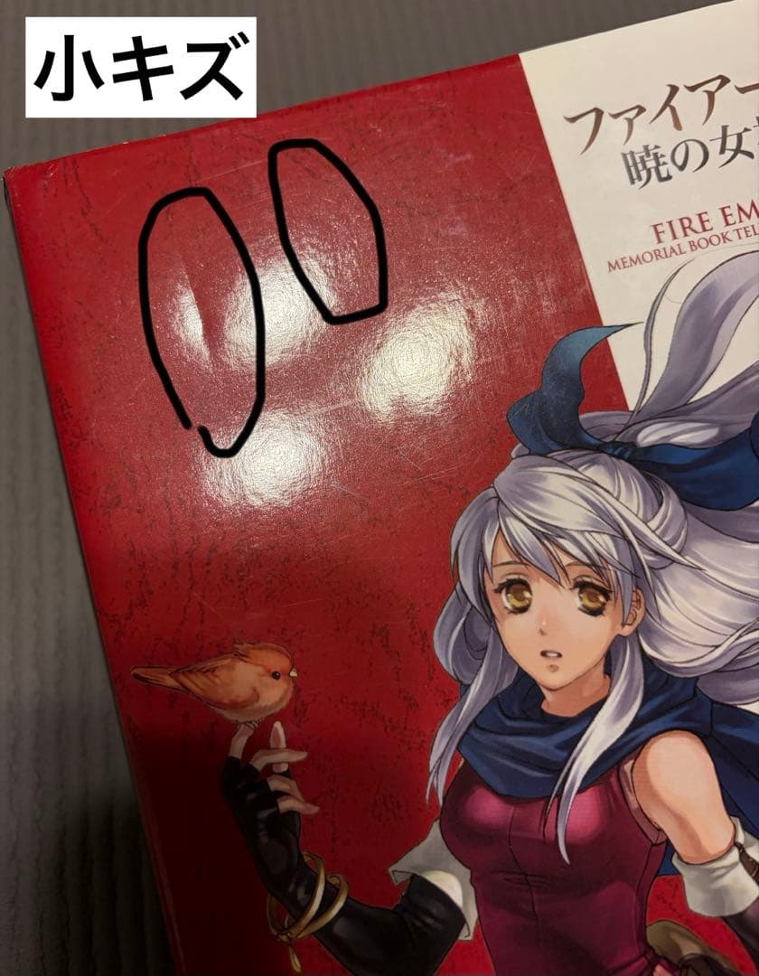 ファイアーエムブレム 蒼炎の軌跡 暁の女神 設定資料集 上下セット