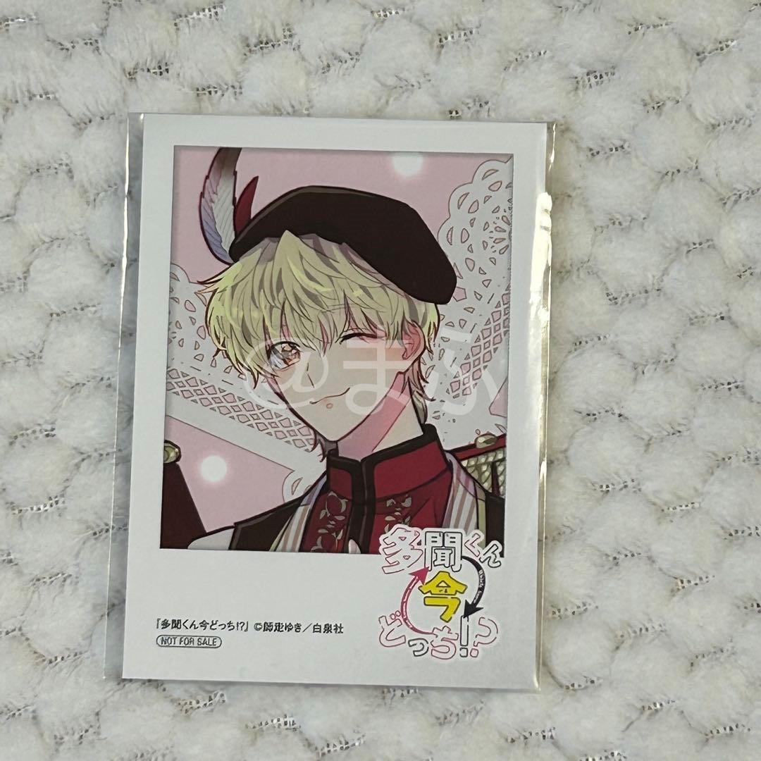 特典のみ☆多聞くん今どっち!? ミニフォトカード 全8種 アニメイト