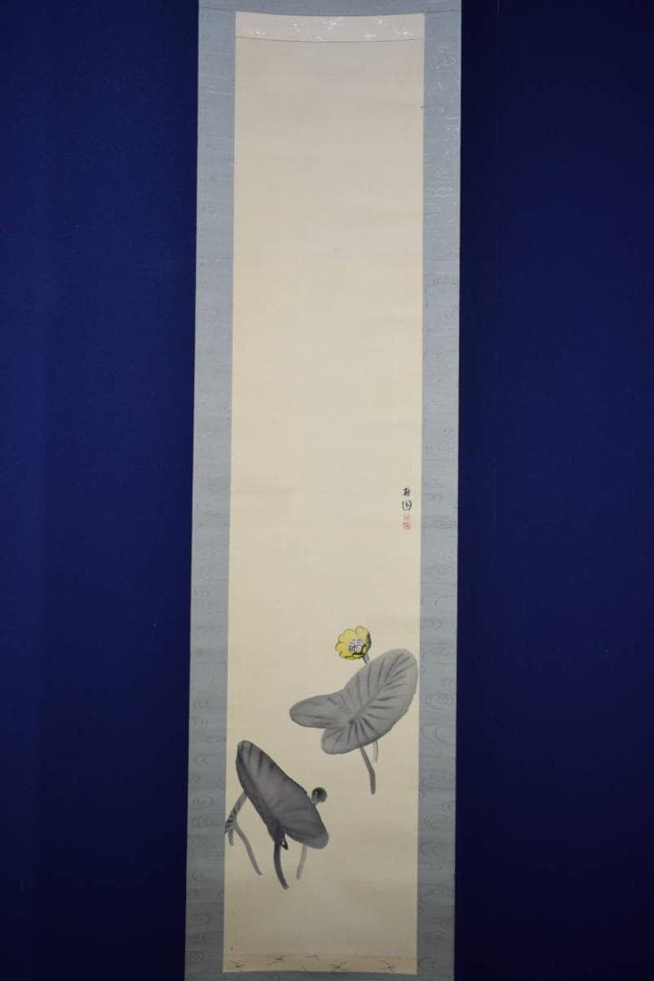 真作/庭山耕園/河骨図/コウホネ図/桐題箱付/布袋屋掛軸