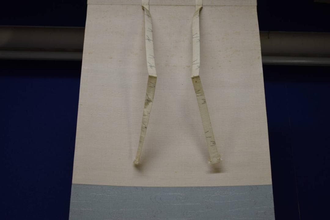 真作/庭山耕園/河骨図/コウホネ図/桐題箱付/布袋屋掛軸