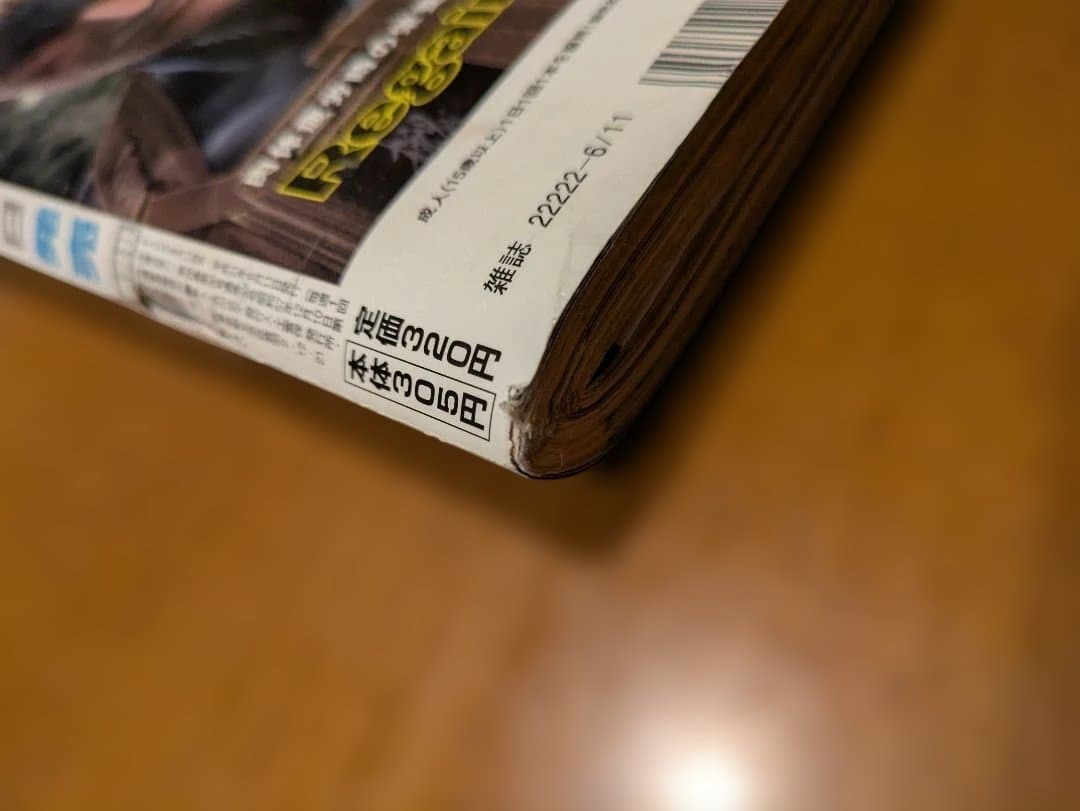 週刊モーニング 2009年6月11日 バカボンド 乱丁本