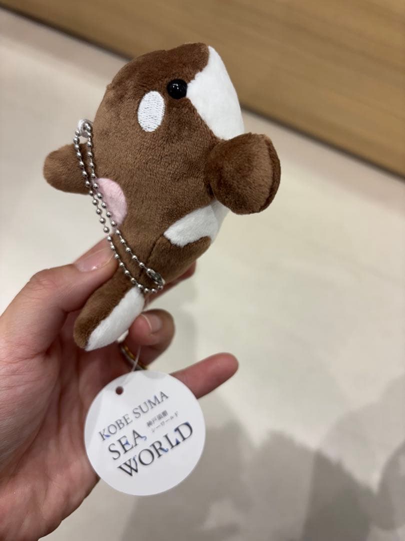 須磨シーワールド シャチ 新色 ショコラデュオカラー キーホルダー