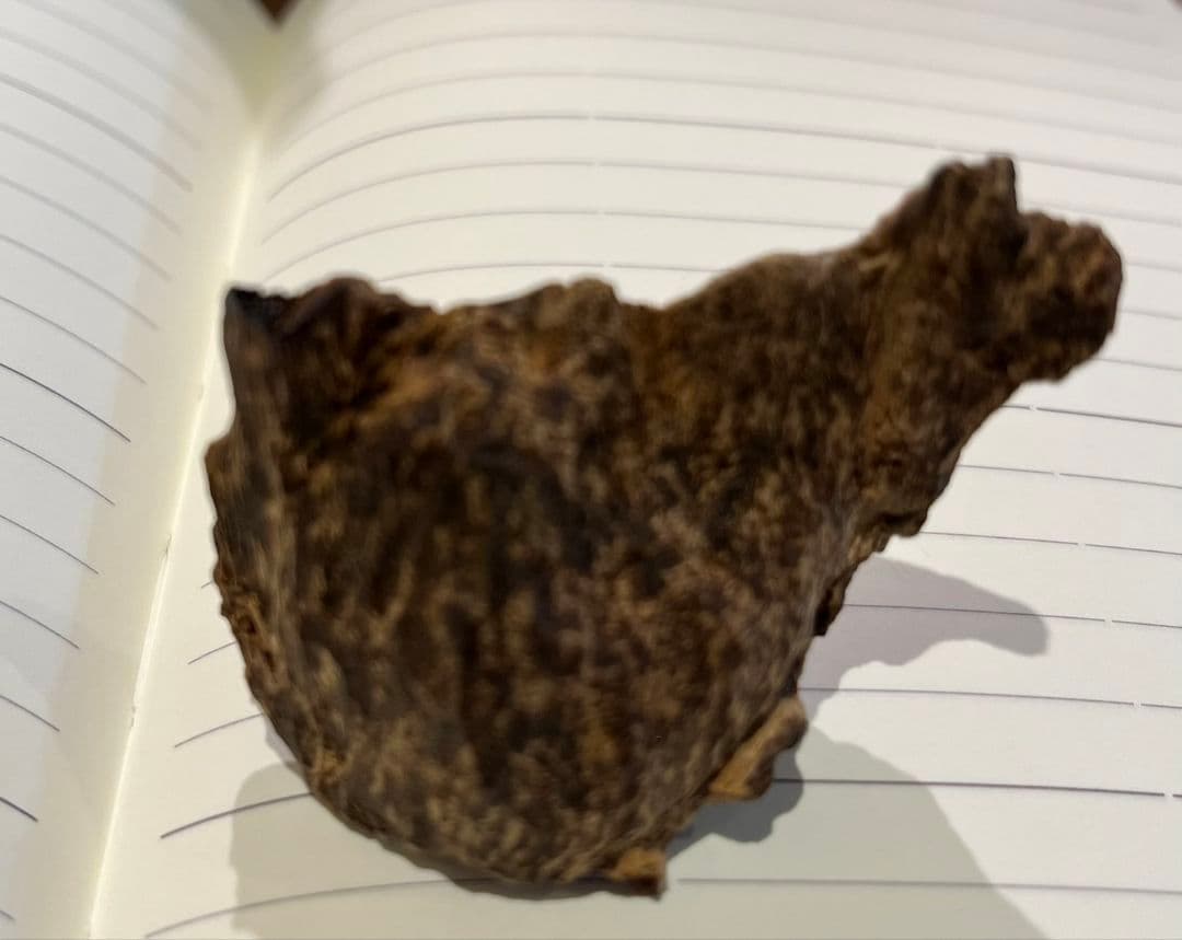 ベトナムニャトラン地方極上品の沈香 8.7gr。