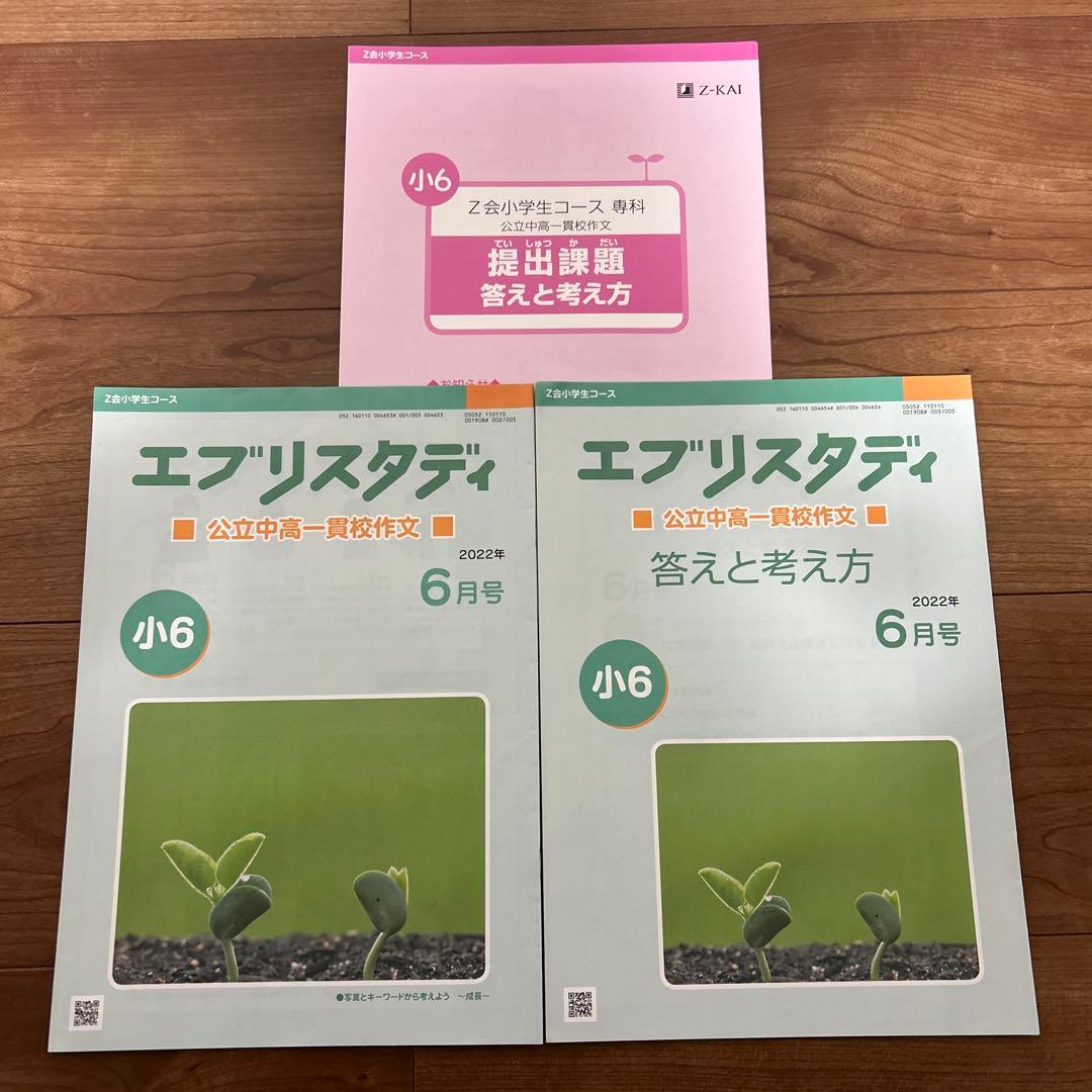 Z会 エブリスタディ 公立中高一貫校 作文 小6 2022年 4〜12月 一年分