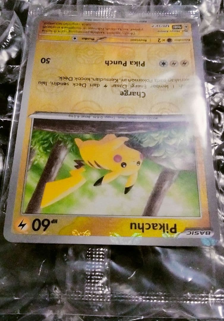 秘蔵 未開封 大会 優勝商品 ピカチュウ マスターボール プロモ 英語