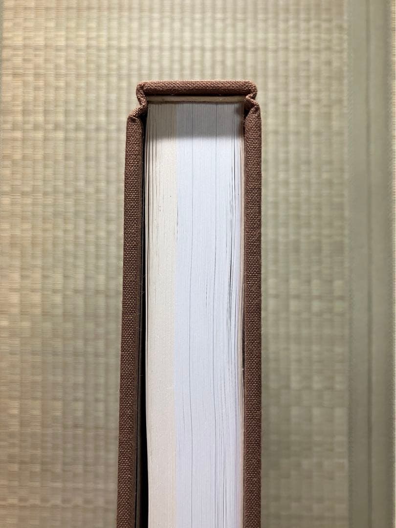 【未使用】　面心　-中村直彦 能面 遺作集